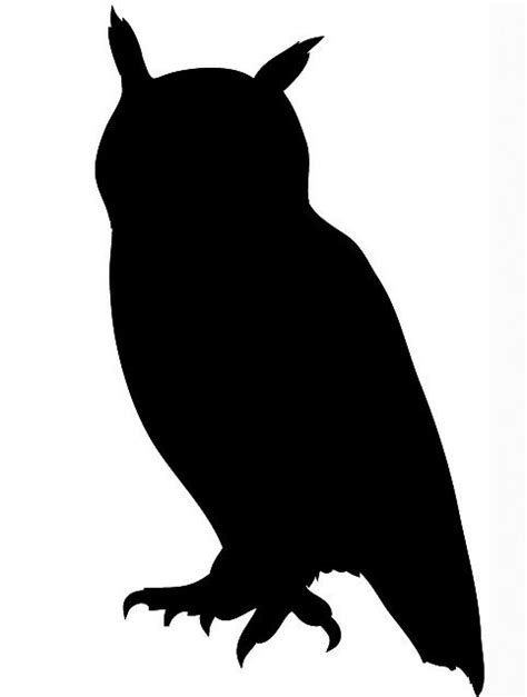 Flying Bird Shadow - ClipArt Best