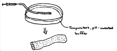 Cartoon Illustrating Basic Extrusion Procedure Download Scientific