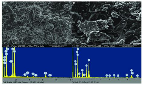 SEM Micrographs And EDS Spectrums Of Raw Kaolin RK And FMK