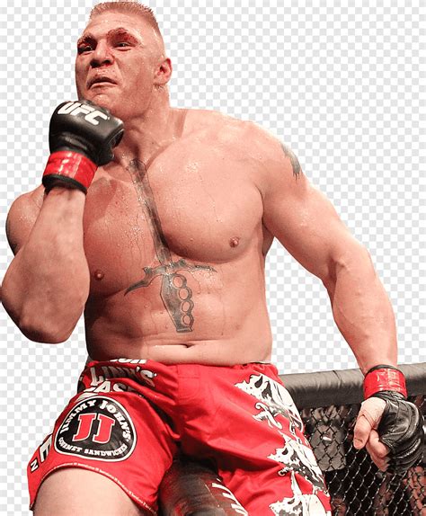 Brock Lesnar Ufc Tate Vs Nunes Lutador Profissional De Artes