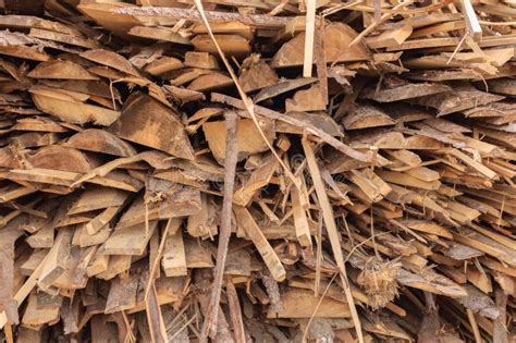 Feixes De Madeira Pranchas Empilhadas Nas Fileiras Sawmill Foto De