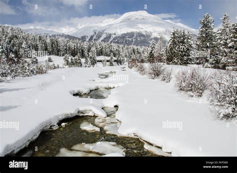 Winter in Switzerland! Stock Photo - Alamy