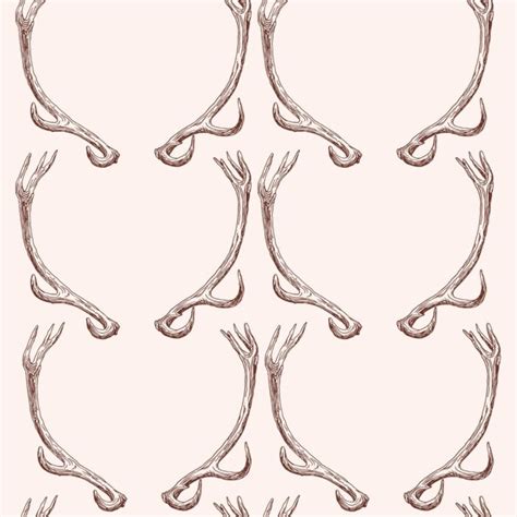 Deer Antlers Wallpaper - PosterMyWall