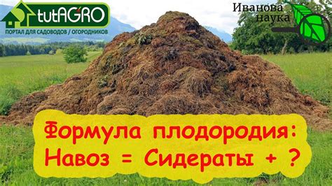 ВЕЛИКИЙ ОБМАН: вся правда о сидератах!! Чем можно заменить навоз и ...