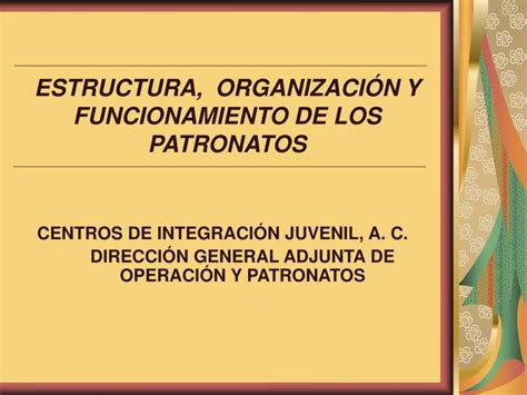 PPT ESTRUCTURA ORGANIZACIÓN Y FUNCIONAMIENTO DE LOS PATRONATOS