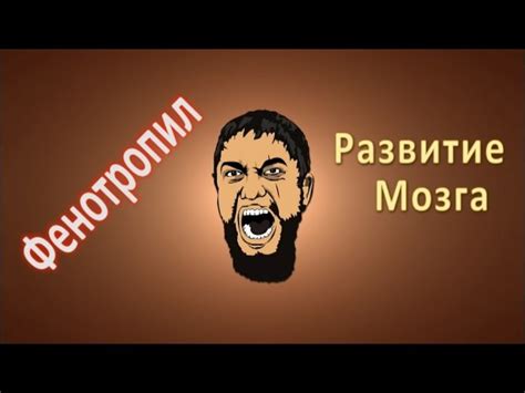 Для чего нужен Фенотропил: инструкция по применению, отзывы людей и врачей