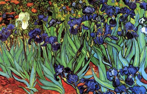 Wallpaper Vincent van Gogh, Irises, different colors images for desktop ...