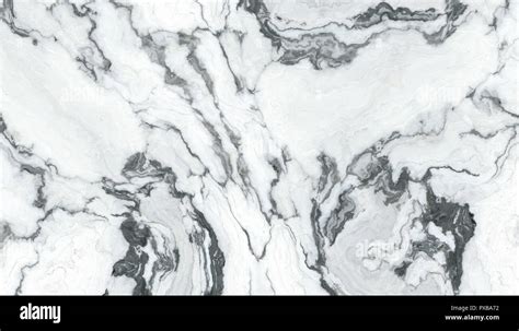 White Marble Pattern With Curly Grey And Black Veins Abstract Texture