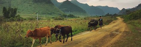 son la travel   visit       stay