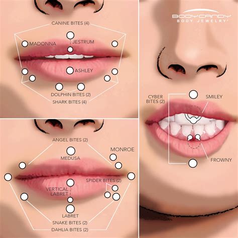 Face Piercings Chart