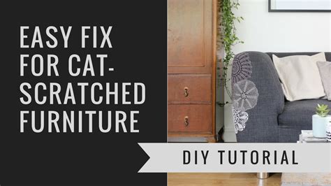 How To Repair Leather Sofa Cat Scratch Baci Living Room