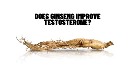 Does Ashwagandha Boost Testosterone Levels Scientific Evidence