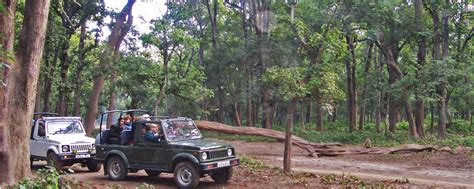 Jeep Safari Tours Bandhavgarh Corbett Kanha Tadoba Pench