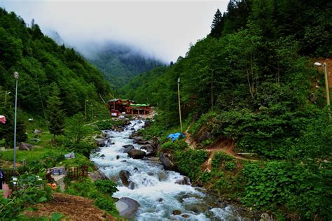 Ayder Yaylası Nerede Nasıl Gidilir Yorumlar