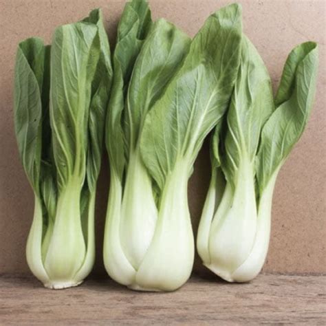 White Stem Pak Choi Cabbage Urban Farmer