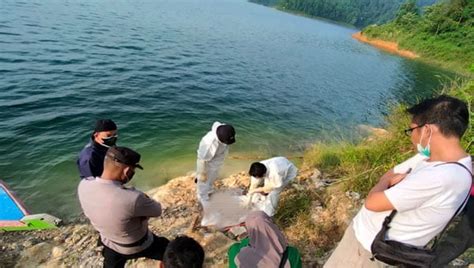 Mayat Bayi Ditemukan Terapung Di Bendungan Batu Tegi Tanggamus