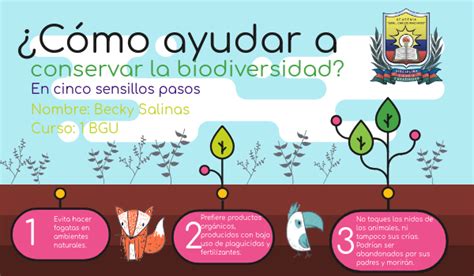 Como Ayudar A La Conservación De La Biodiversidad