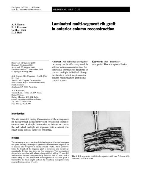 laminated multi segment rib graft  anterior column reconstruction