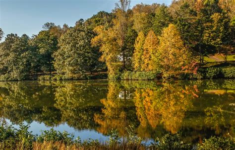 Wallpaper Autumn The Sun Trees Lake Reflection Yellow Usa