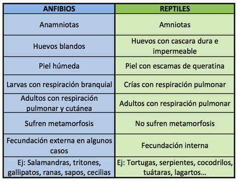 Cuadros comparativos características diferencias y similitudes entre