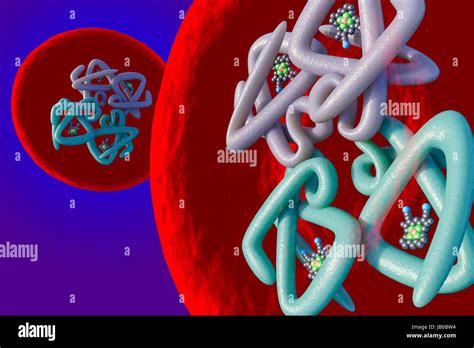 Red Blood Cell Structure Illustration Haemoglobin Molecule Inside A
