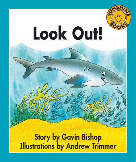 Look-Out!-COV – Sunshine Books New Zealand