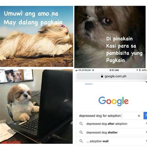 Funny Dog Memes Tagalog