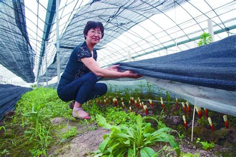 【乡村振兴】当农业遇上科技 中国福建三农网