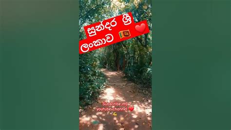 මේ ලංකාව මචං😊📷 🌍 Youtubeshorts Srilanka Visit Youtube