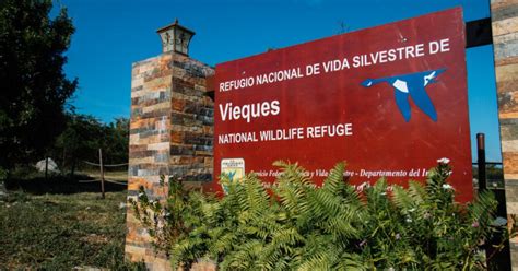 Vieques National Wildlife Refuge | Discover Puerto Rico