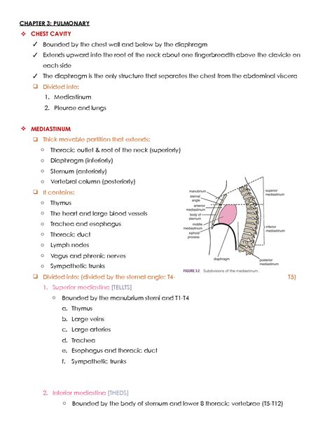 Solution Cardiopulmonary Anatomy Notes Studypool