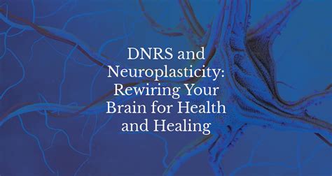 Dnrs And Neuroplasticity Dynamic Neural Retraining System