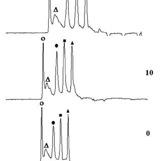 Representative Set Of Electropherograms Of Van Filled Diamonds