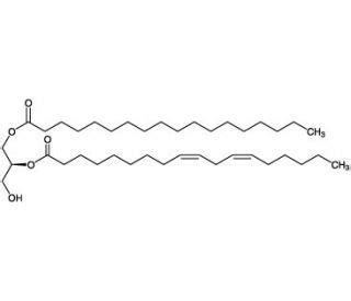 Stearoyl Linoleoyl Sn Glycerol Cas Scbt Santa Cruz