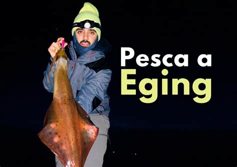 Pesca A Eging La Mejor Gu A Wefish Tu App De Pesca