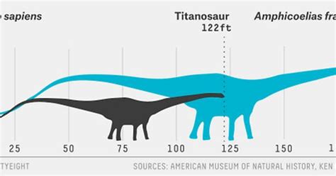 The Biggest Dinosaur Wasn T That Big Imgur