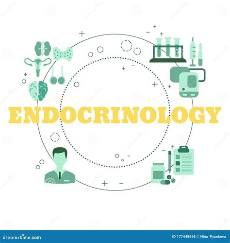 Vector Endocrinology Concept Stock Vector Illustration Of Anatomy