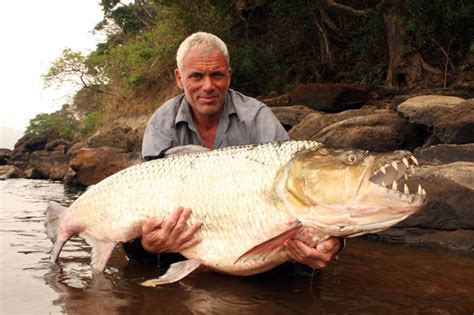 Goliath Tigerfish | River Monsters | Animal Planet