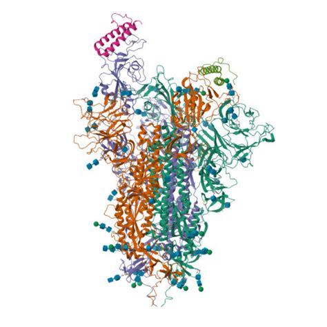 Rcsb Pdb Zrv Cryo Em Structure Of Omicron Spike In Complex With De