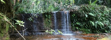 A Picturesque Hike In The Lambir Hills National Park In Miri Sarawak