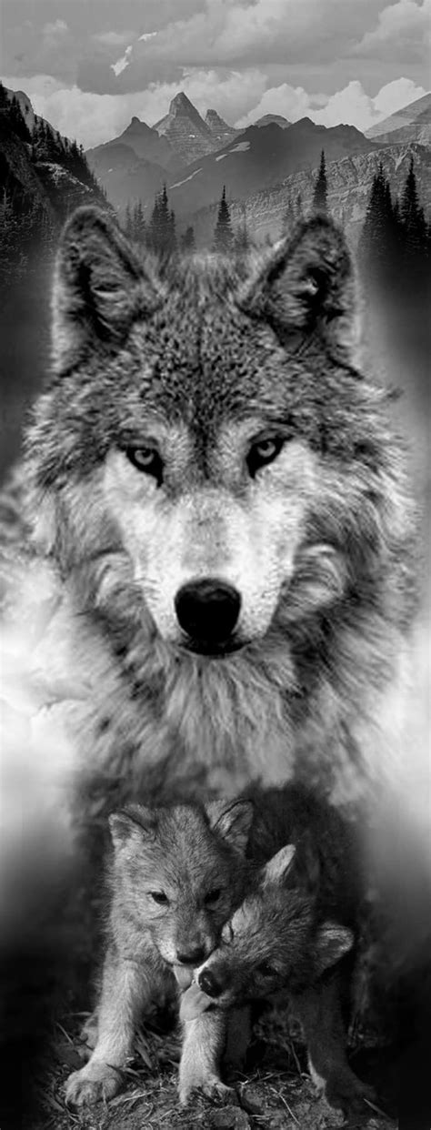 329 mejores imágenes de Lobo tattoo en Pinterest | Lobos, Tatuajes de ...