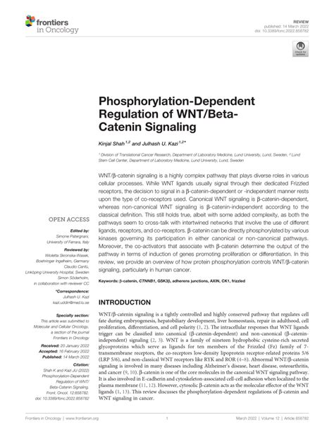 PDF Phosphorylation Dependent Regulation Of WNT Beta Catenin Signaling