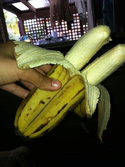 Siamese Bananas Banana Weird Food Banana Funny