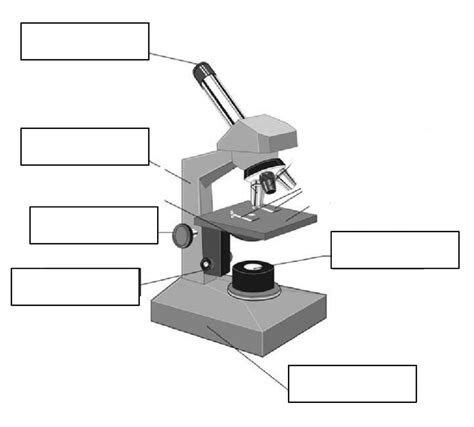 Label The Microscope Diagram Quizlet