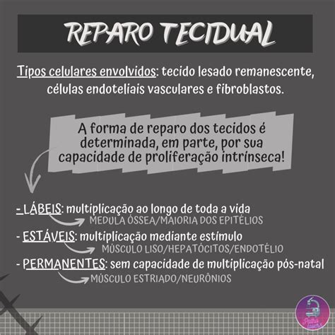 Reparo Tecidual Regeneração e Cicatrização PathoLovers