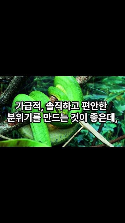 2024년 7월 3일 뱀띠 운세 오늘의운세 띠별운세 뱀띠 Youtube