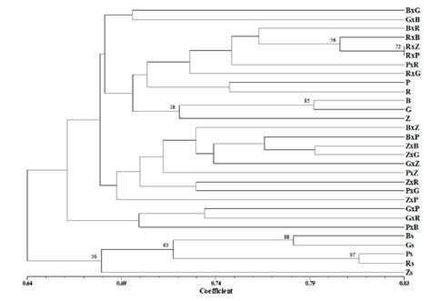 Dendrogram Generated By Unweighted Pair Group Arithmetic Mean Method