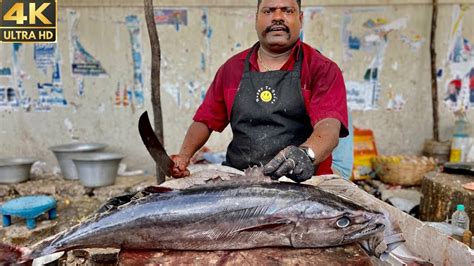 Kasimedu Speed Selvam Rare Fish Cutting In Kasimedu Fish Cutting