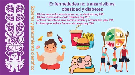 Enfermedades no transmisibles obesidad y diabetes Colección XIMHAI