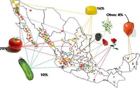 México Como Potencia Agroalimentaria Revista Infoagro México